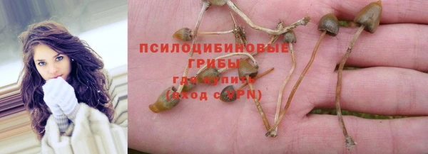 амф Беломорск