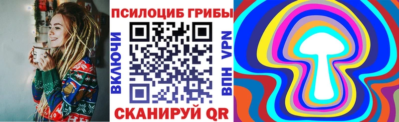 Псилоцибиновые грибы Cubensis наркошоп кракен tor нарко площадка официальный сайт Каменск-Уральский